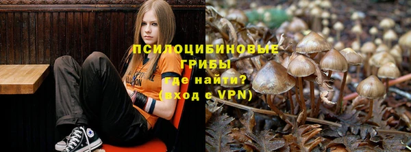 ешки Верхний Тагил