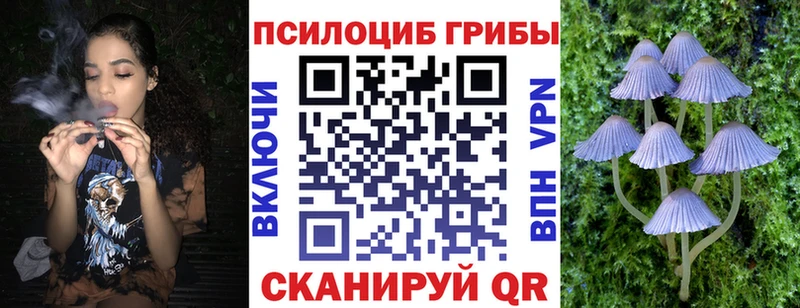 Купить Нурлат Галлюциногенные грибы GOLDEN TEACHER