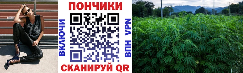 МАРИХУАНА OG Kush  Купить где  Нурлат 